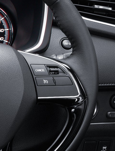 CRUISE CONTROL